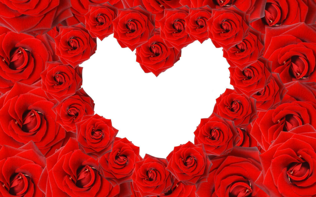 Vibrant Red Roses Heart Wallpaper - Love & Passion Background