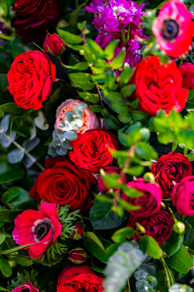 Close-Up Vibrant Red Roses & Greenery: Detailed Floral Background Wallpaper