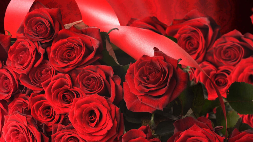 Elegant Red Roses Wallpaper: Romantic Floral Background Design