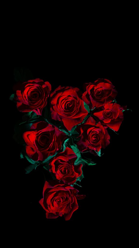 Elegant Red Roses on Black Background – Stunning Wallpaper Image