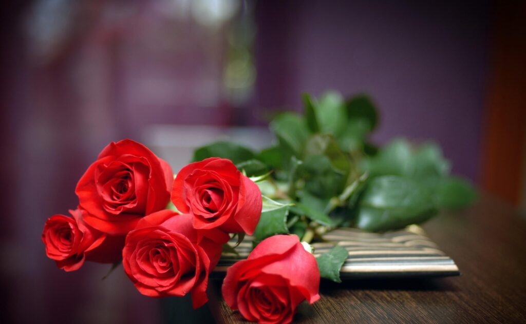 Vibrant Red Roses on Wood: A Romantic Blurred Background Wallpaper