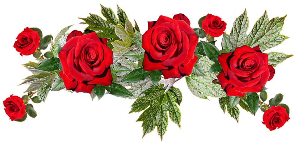 Vibrant Red Roses with Green Leaves - Elegant Floral Wallpaper