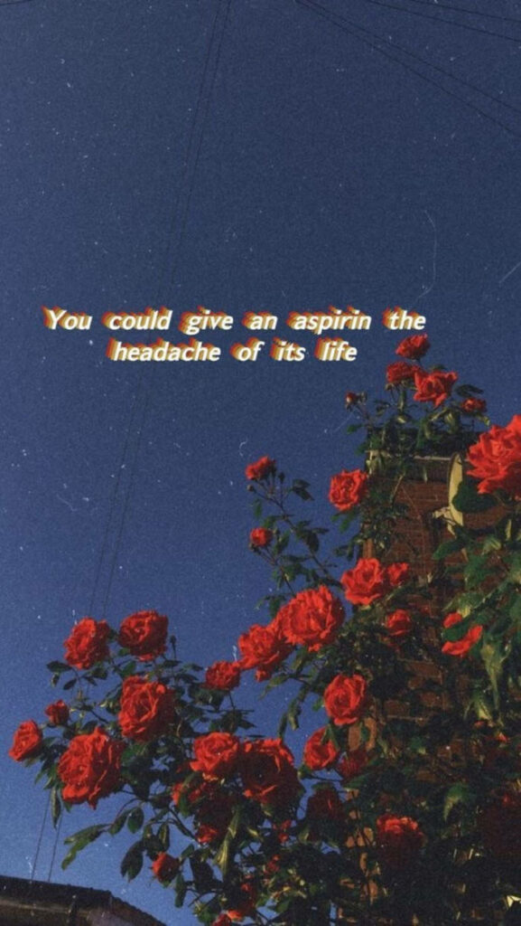 Vibrant Red Roses on Blue Sky: Retro Quote Wallpaper Background