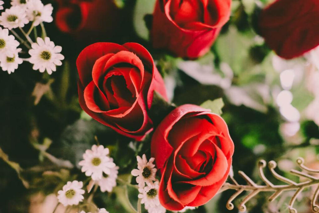Vibrant Red Roses & White Flowers on Lush Green Wallpaper