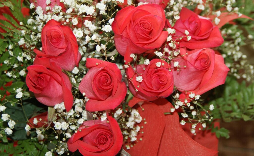 Romantic Red Rose Bouquet with White Gypsophila - Elegant Wallpaper