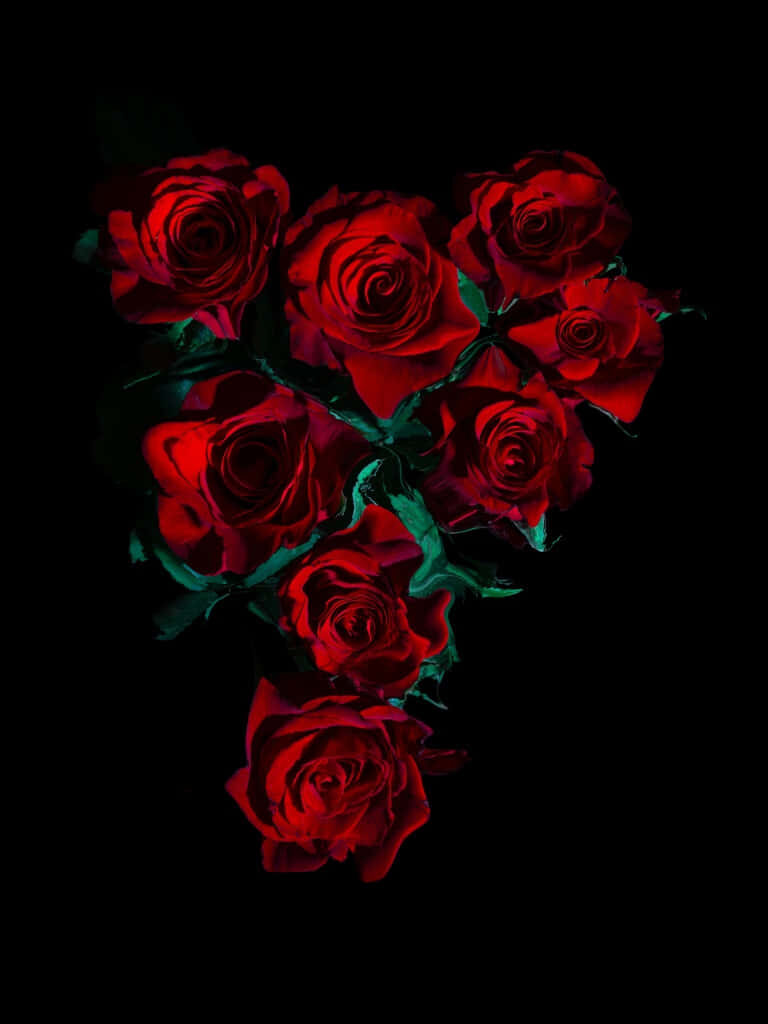 Vibrant Red Roses in Bloom Against Dark Background - Aesthetic Beauty Wallpaper