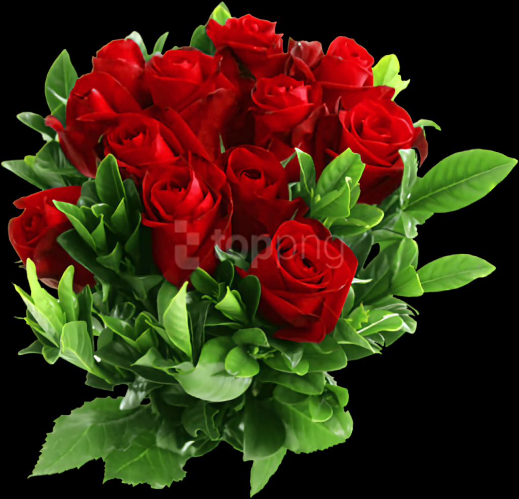 Vibrant Red Roses on Black: Stunning Floral Wallpaper Background