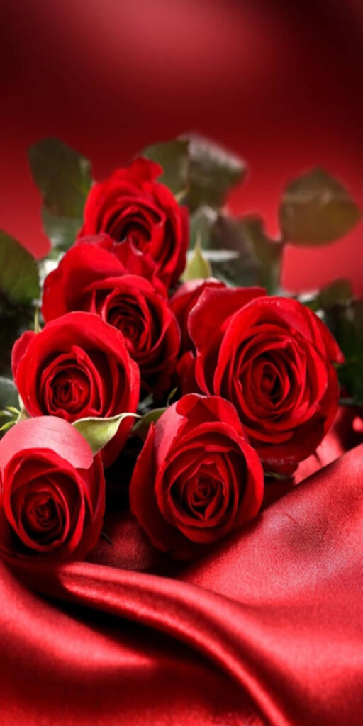 Elegant Red Rose Wallpaper on Silk Fabric - Romantic Background