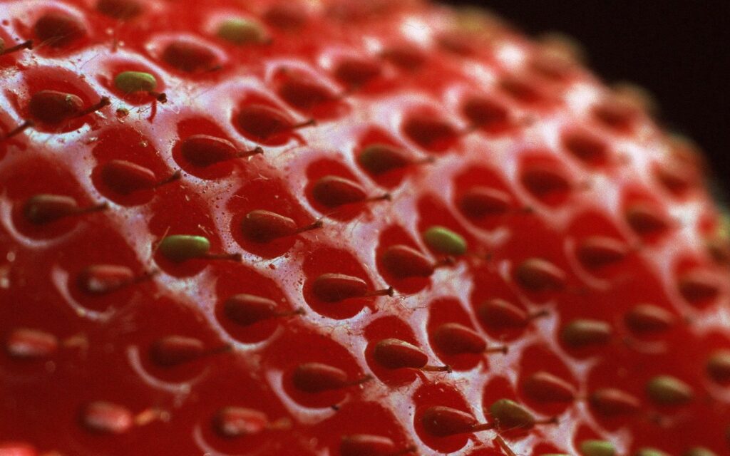 Vibrant Red Strawberry Close-Up: Textured Wallpaper Background