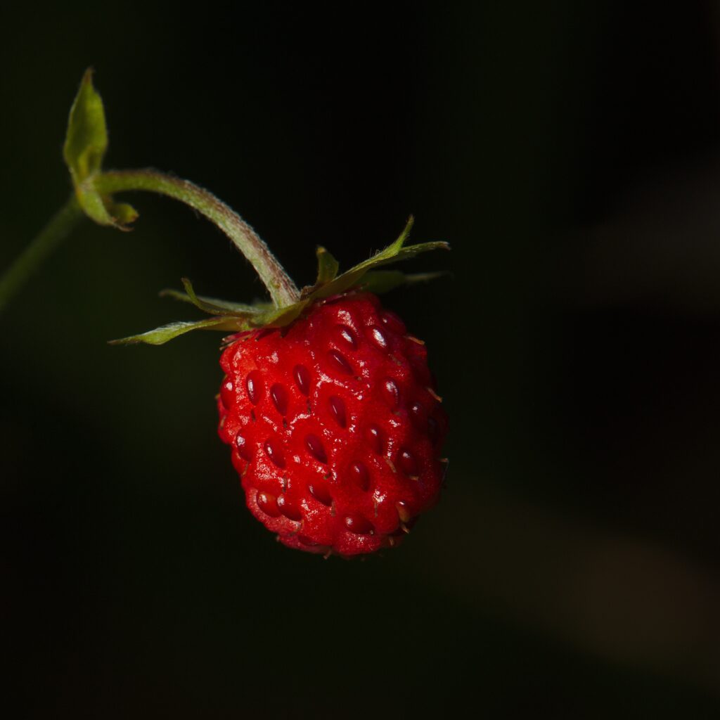 Vibrant Red Strawberry Close-Up Wallpaper Against Dark Background