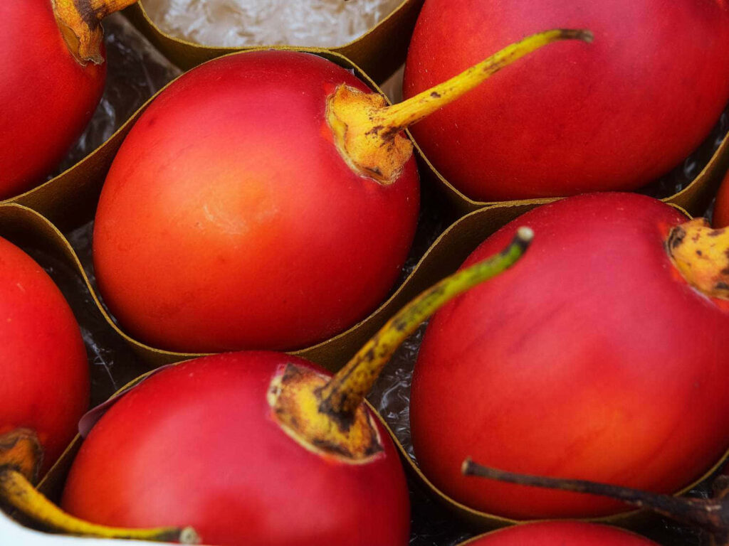 Vibrant Red Tamarillo Wallpaper: Close-Up of Smooth Textures