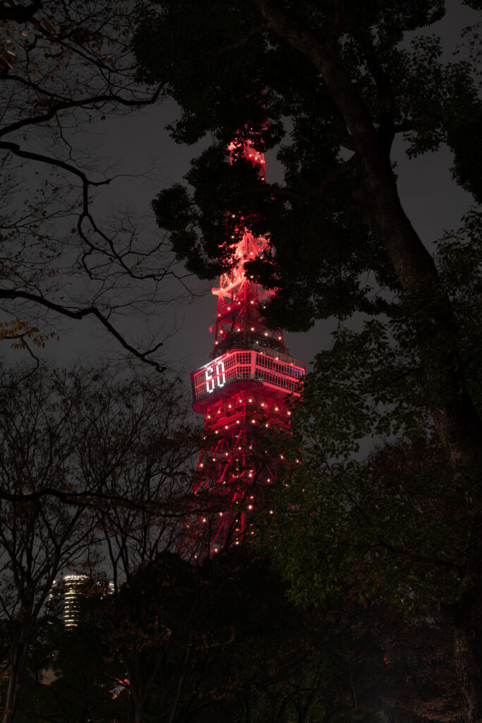 Serene Tokyo Tower Night View Wallpaper with Silhouetted Trees