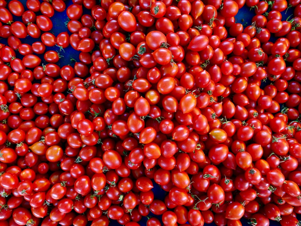 Vibrant Red Tomato Wallpaper: Close-Up Fresh Harvest Background
