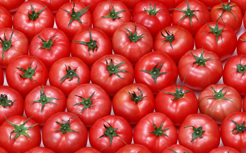 Vibrant Tomato Wallpaper: Fresh Medium-Sized Ripe Red Fruits