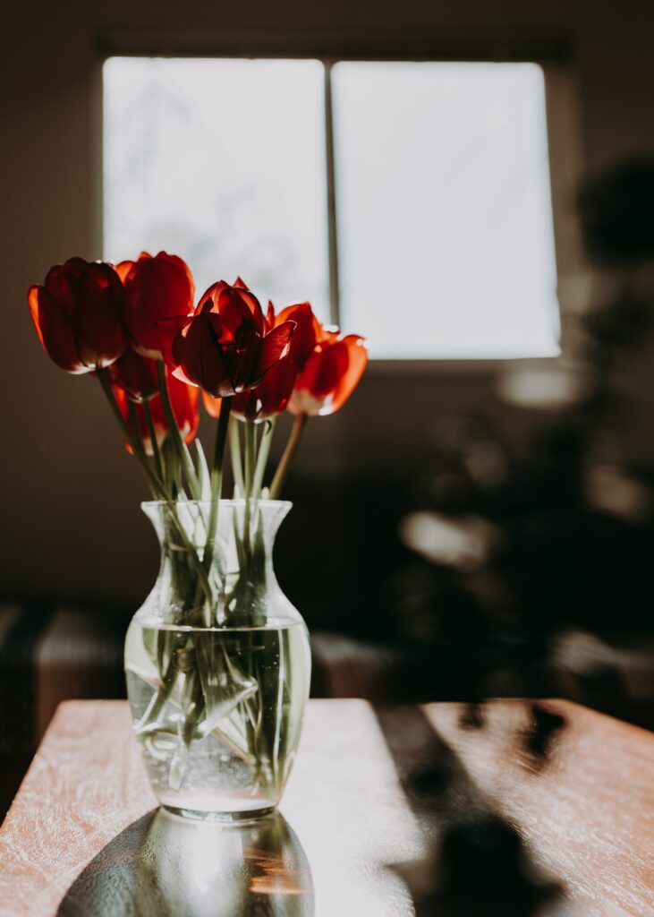Vibrant Red Tulips in Glass Vase - Warm Natural Light Wallpaper
