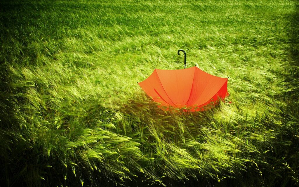 Red umbrella flipped upward by wind in green tall grass under soft sunlight vibrant nature scene Wallpaper