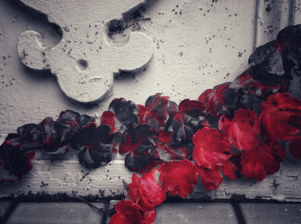 Vibrant Red Vine Leaves on Textured Wall - Nature & Architecture Wallpaper