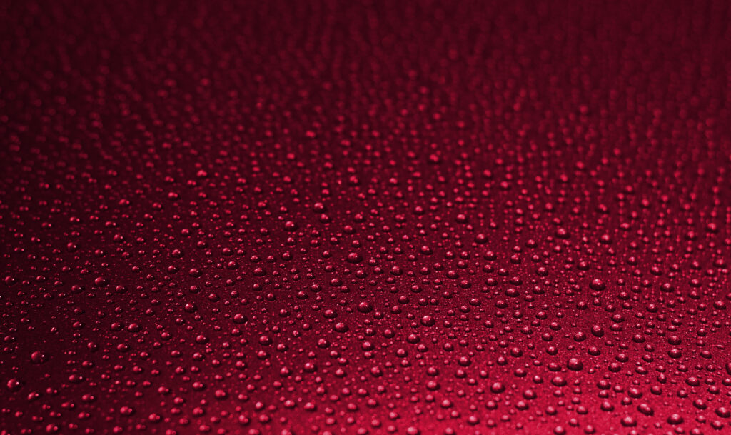 Vibrant Red Wallpaper: Macro Water Droplets on Wet Surface Texture