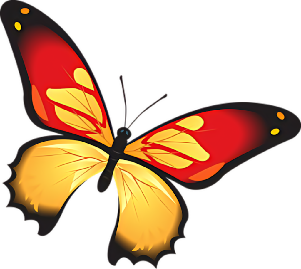 Vibrant Red & Yellow Butterfly Vector Wallpaper Background