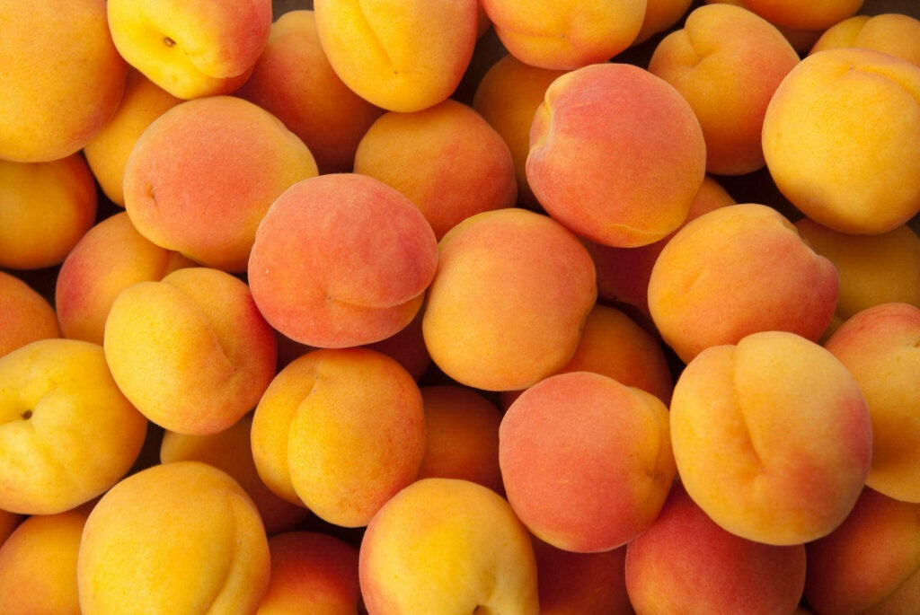 Vibrant Apricots Wallpaper: Fresh Orange & Golden Background