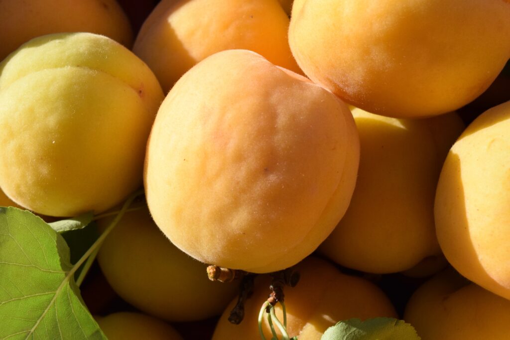 Vibrant Ripe Apricots Wallpaper: Golden-Orange Close-Up Background