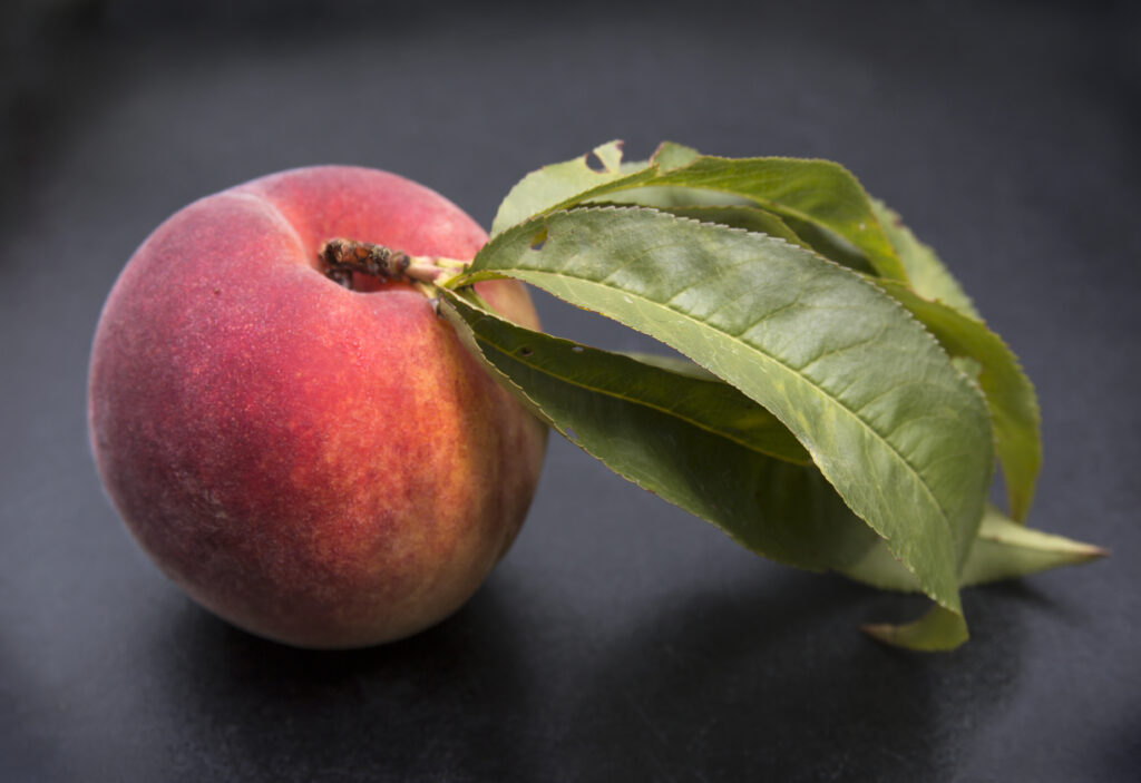 Ripe Peach Close-Up Wallpaper: Vibrant Reds and Greens on Dark Background