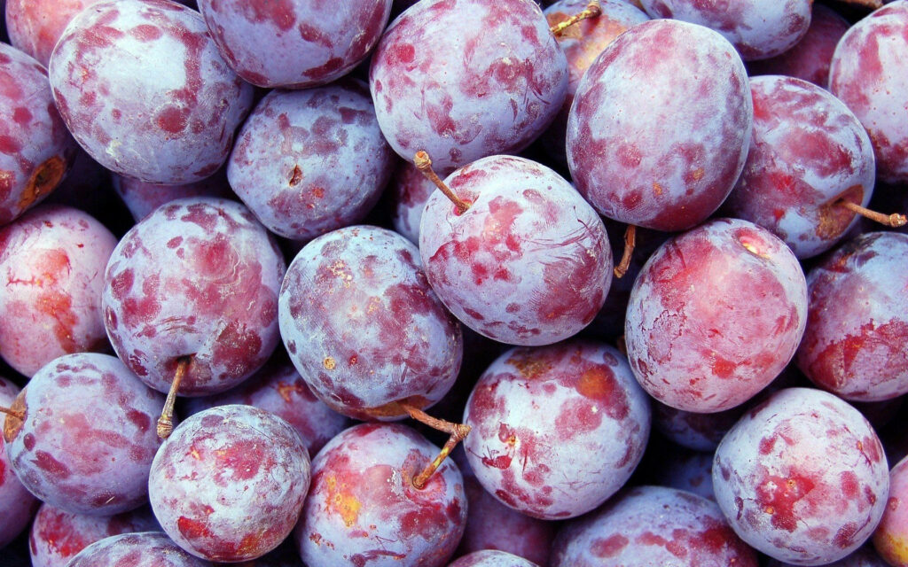 Vibrant Ripe Plum Fruit Wallpaper: Fresh Purple & Red Beauty