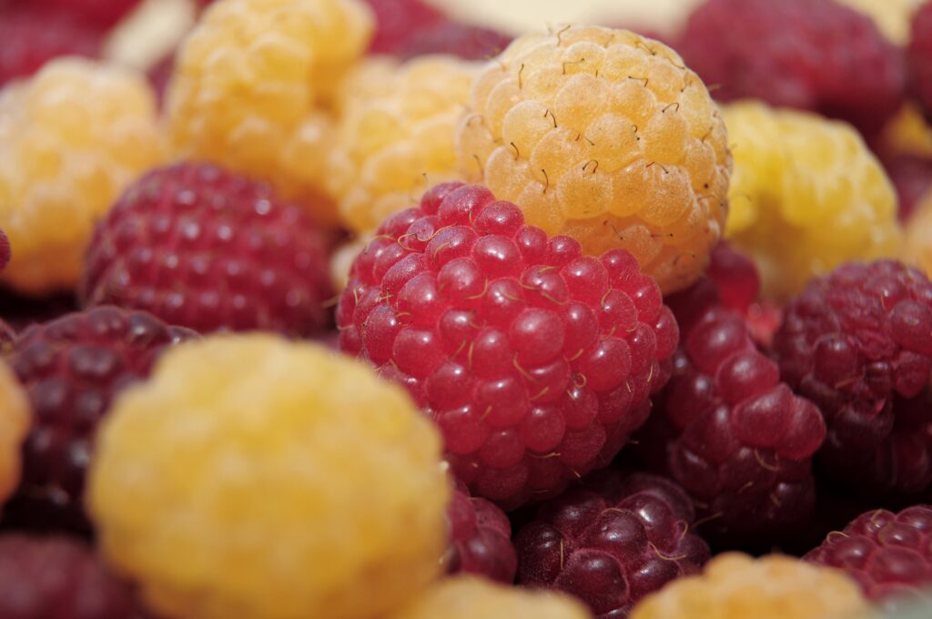 Vibrant Ripe Red & Yellow Raspberry Wallpaper Background
