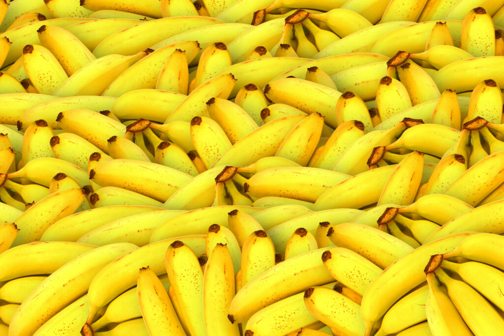 Vibrant wallpaper of fresh ripe yellow bananas in dense cluster on green stems background