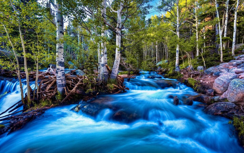 Vibrant river with strong current flowing over smooth stones through lush green forest trees Wallpaper