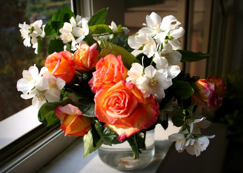 Vibrant Roses & Jasmine Flowers in Sunlit Window - Spring Wallpaper