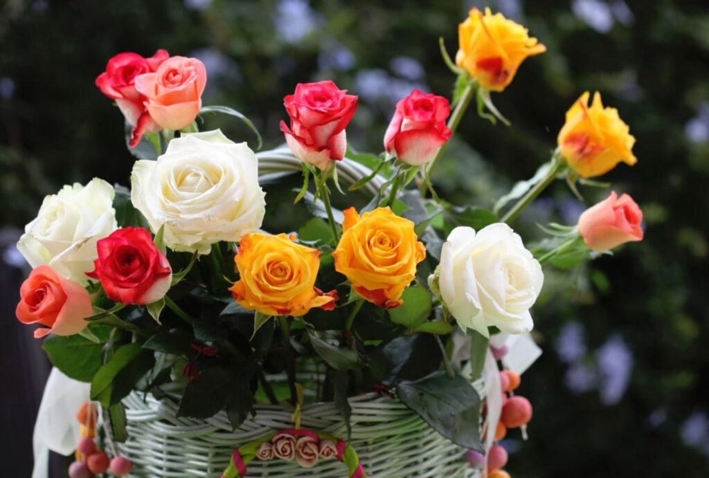 Charming Bouquet of Vibrant Roses in Decorative Basket Wallpaper