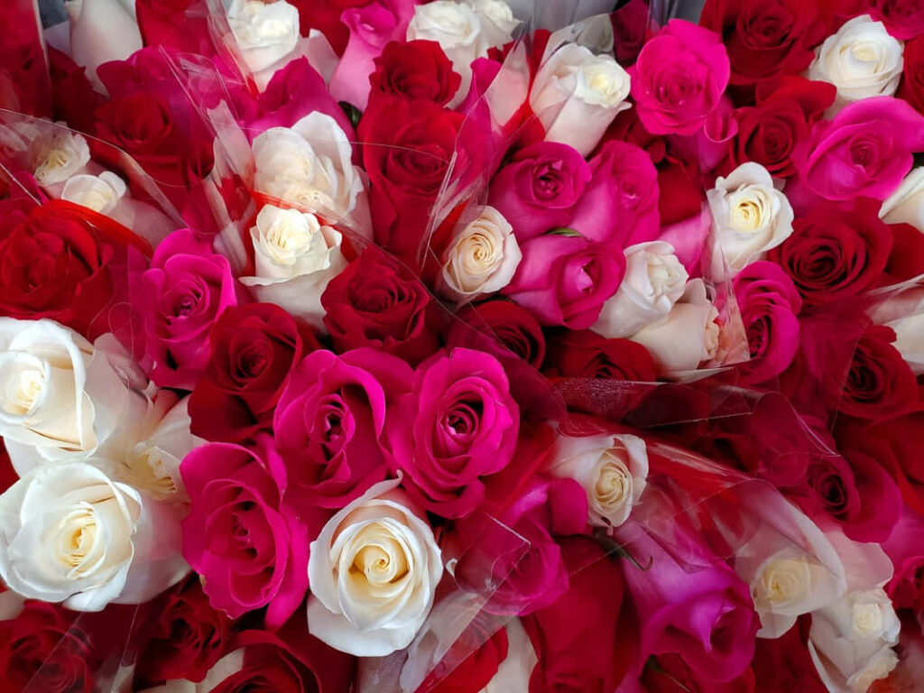 Vibrant Colorful Rose Bouquet Wallpaper - Stunning Floral Background