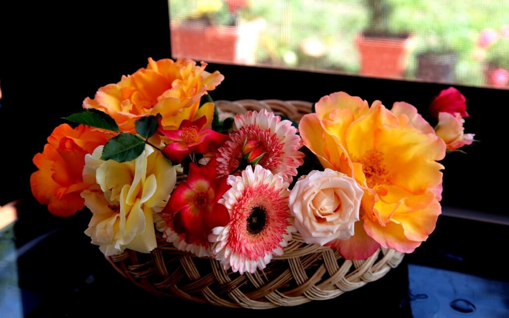 Vibrant Roses in Woven Basket: Beautiful Floral Wallpaper