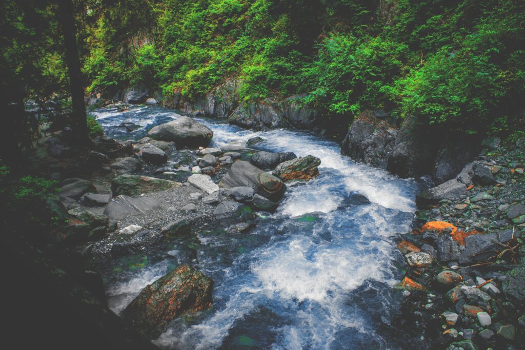 Vibrant wallpaper of rushing stream flowing over smooth stones with lush green foliage background