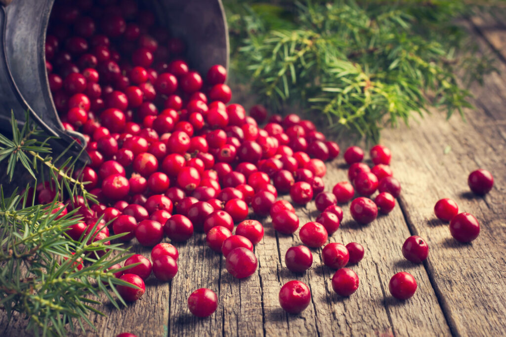 Festive Rustic Wallpaper: Cranberries on Wooden Surface with Pine