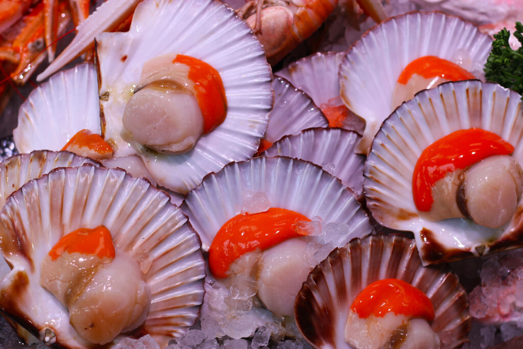Vibrant Scallops Wallpaper: Fresh Shells on Ice with Coral Accents