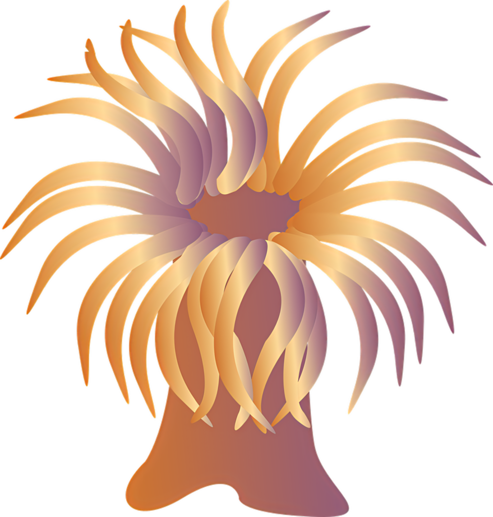 Vibrant Abstract Sea Anemone Wallpaper in Orange and Gold Shades