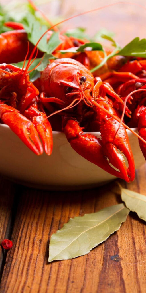 Close-Up of Fresh Lobster Seafood Dish - Rustic Table Wallpaper