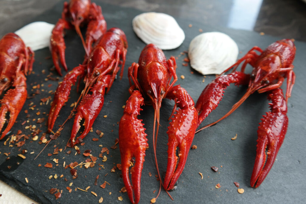 Vibrant Seafood Wallpaper: Freshly Cooked Red Crayfish & Seashells