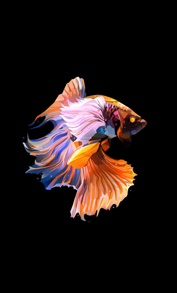 Vibrant Digital Art Showcasing a Colorful Siamese Fighting Fish in Orange and Purple Surrounded by Dark iPhone Background Wallpaper