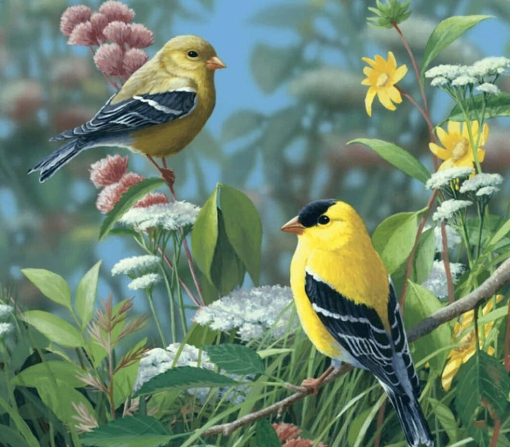 Vibrant Songbirds Amidst Lush Blossoms - Spring Wallpaper