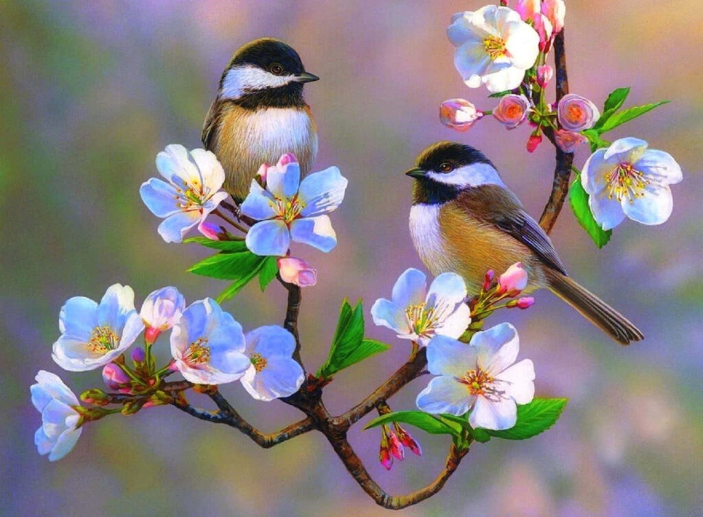 Vibrant Spring Birds on Blooming Branches - Tranquil Wallpaper