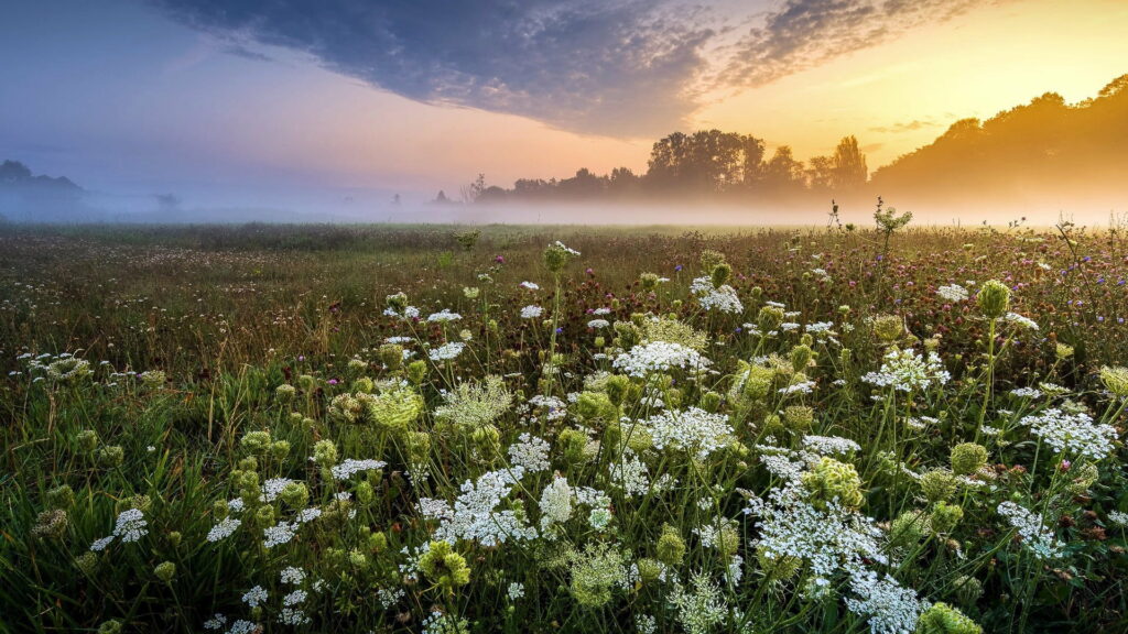 Spectacular Spring Splendor: A Captivating HD Wallpaper of Stunning Scenery
