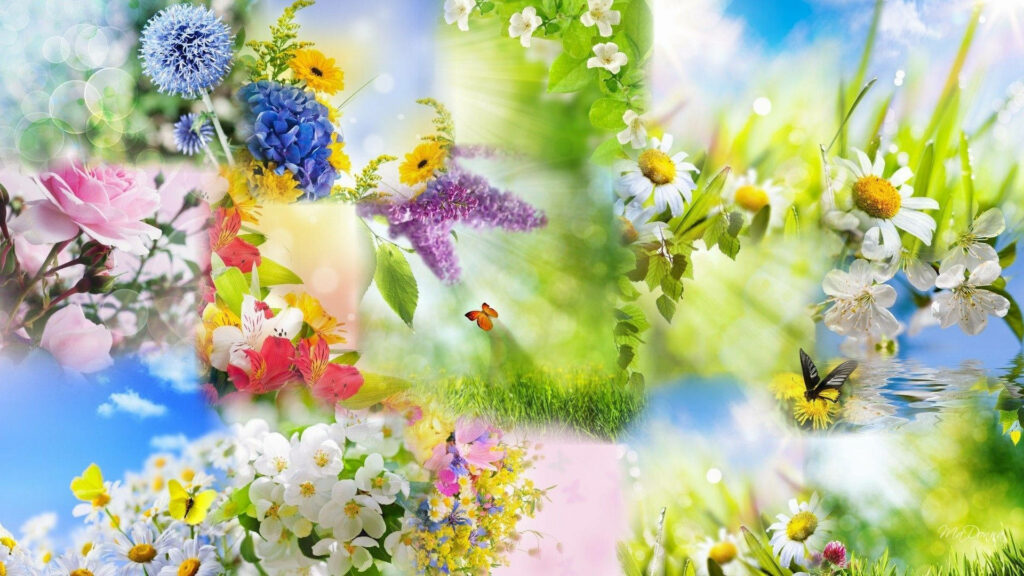 Vibrant Spring Flower Collage Wallpaper for a Fresh Background
