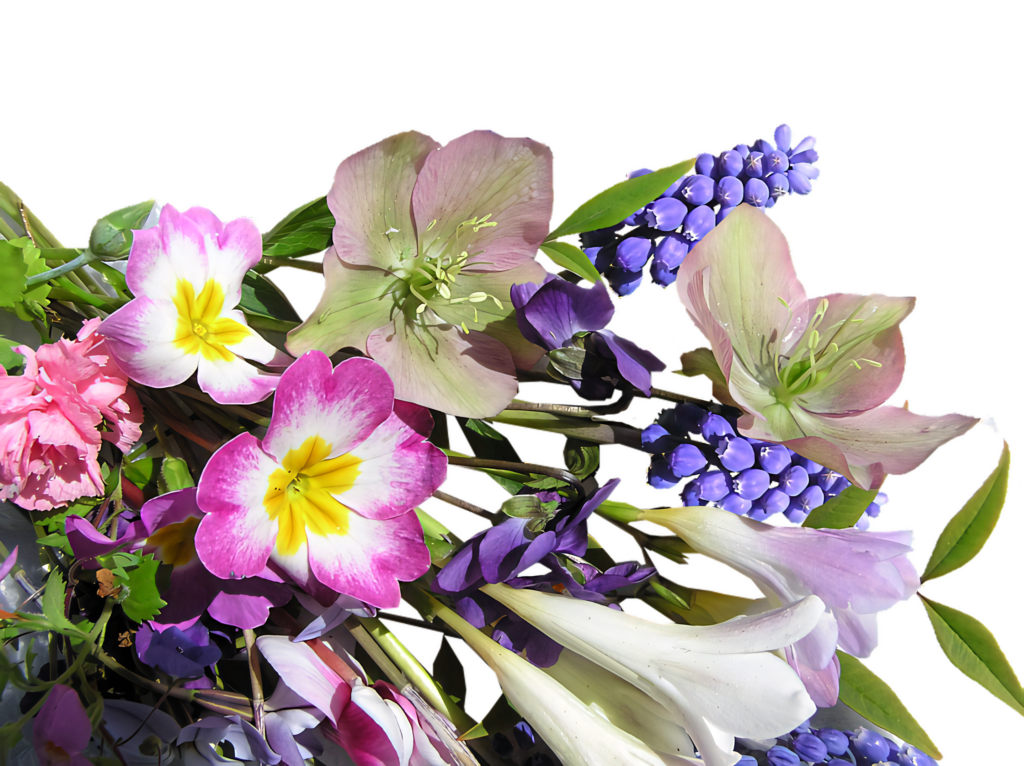 Vibrant Spring Flower Wallpaper: Cheerful Floral Background in Colorful Hues