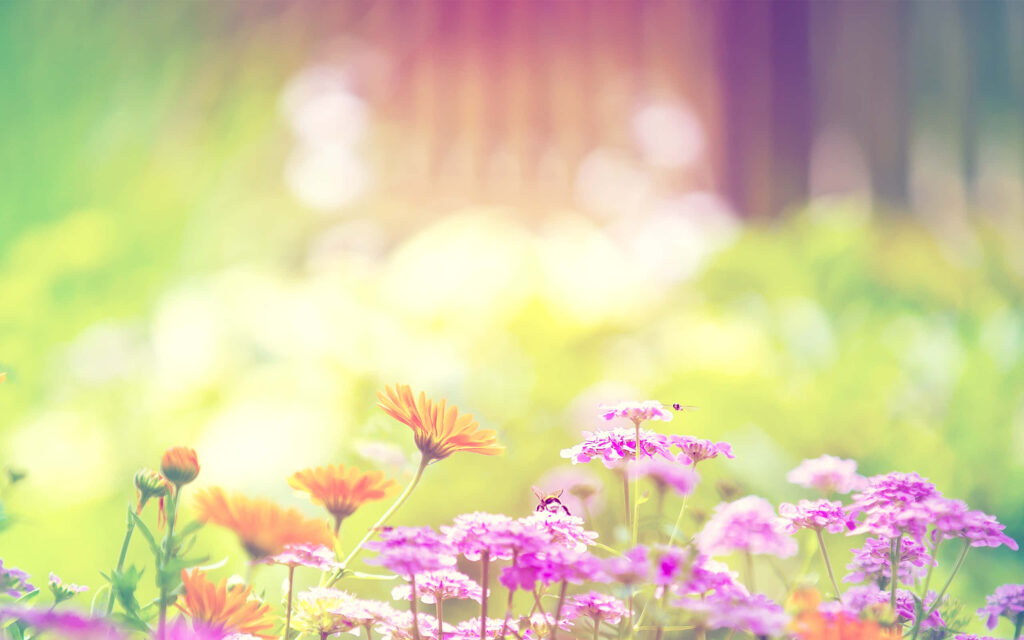 Vibrant Spring Flower Wallpaper: Dreamy Pastel Background for Elegance