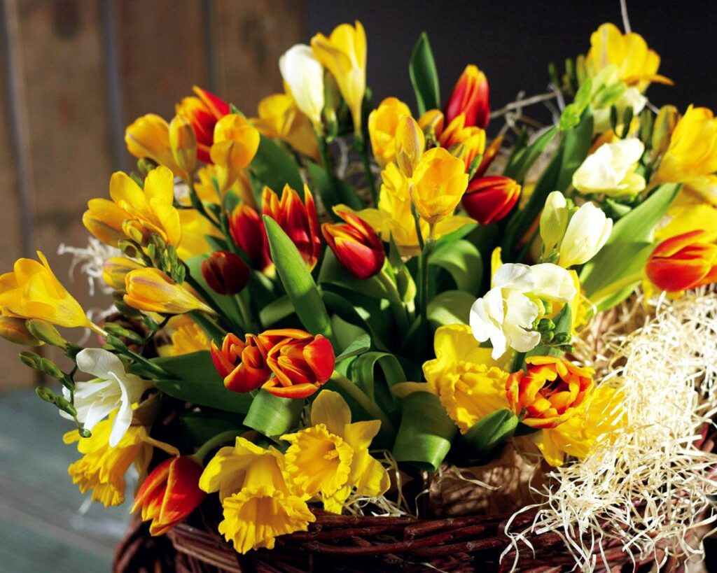 Vibrant Spring Flowers Wallpaper: Tulips & Daffodils in Bright Hues