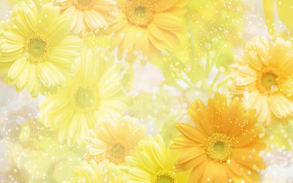 Vibrant Yellow & Orange Spring Flower Wallpaper for Bright Desktop