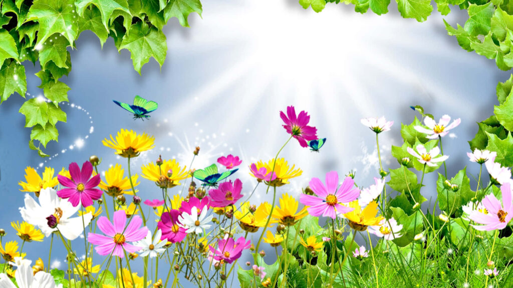 Vibrant Spring Flowers Wallpaper with Butterflies & Sunlit Sky